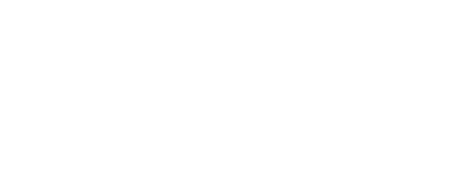 Car Audio & Tints Logo
